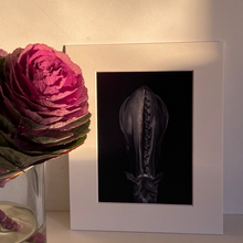 Load image into Gallery viewer, Gift Box "Horse Collection"