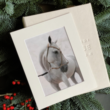 Load image into Gallery viewer, Gift Box "Horse Collection"
