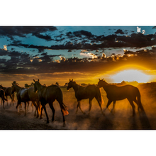 Load image into Gallery viewer, Coffee Table Book "Polo & Horses"