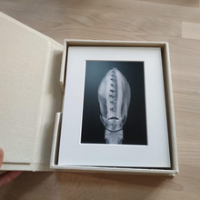 Load image into Gallery viewer, Gift Box "Horse Collection"
