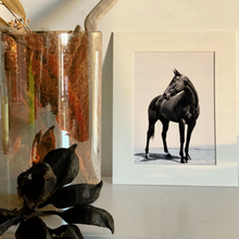 Load image into Gallery viewer, Gift Box "Horse Collection"
